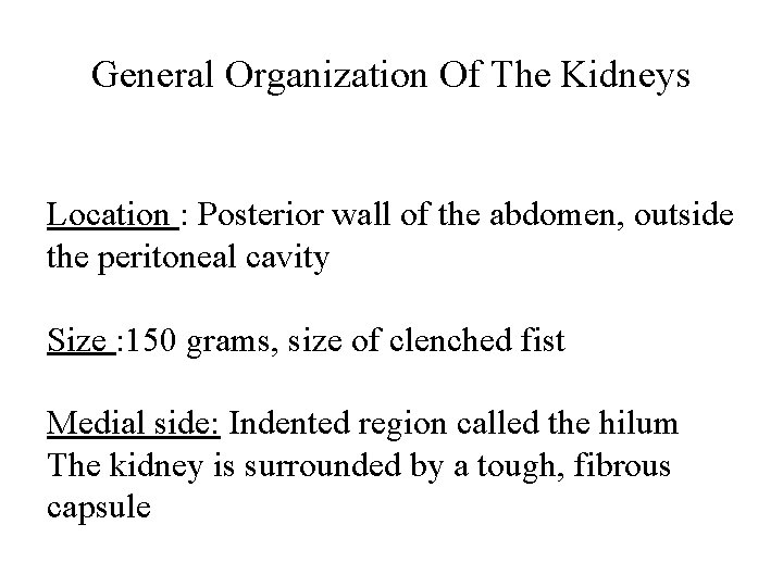 General Organization Of The Kidneys Location : Posterior wall of the abdomen, outside the