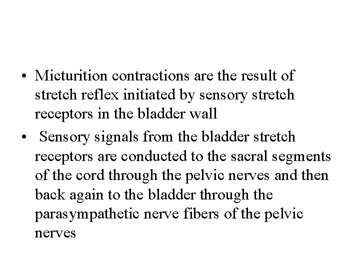  • Micturition contractions are the result of stretch reflex initiated by sensory stretch
