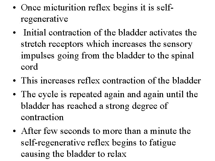 • Once micturition reflex begins it is selfregenerative • Initial contraction of the