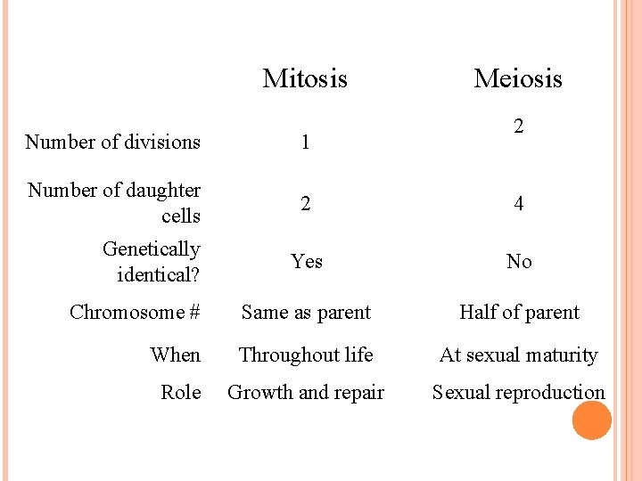 Mitosis Meiosis 2 Number of divisions 1 Number of daughter cells 2 4 Yes Mitosis Meiosis 2 Number of divisions 1 Number of daughter cells 2 4 Yes