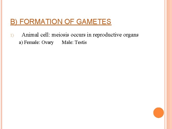 B) FORMATION OF GAMETES 1) Animal cell: meiosis occurs in reproductive organs a) Female: B) FORMATION OF GAMETES 1) Animal cell: meiosis occurs in reproductive organs a) Female: