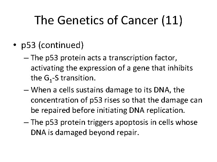 The Genetics of Cancer (11) • p 53 (continued) – The p 53 protein