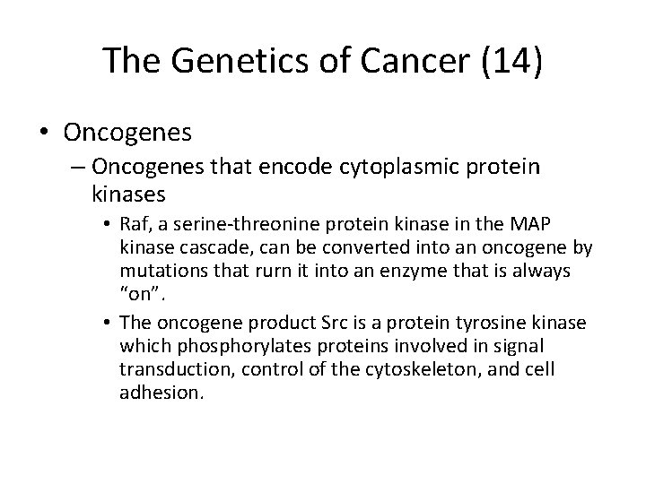 The Genetics of Cancer (14) • Oncogenes – Oncogenes that encode cytoplasmic protein kinases