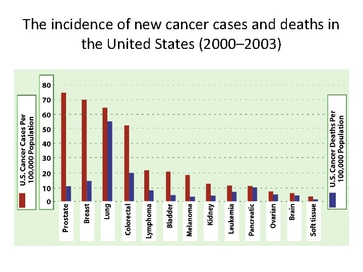 The incidence of new cancer cases and deaths in the United States (2000– 2003)