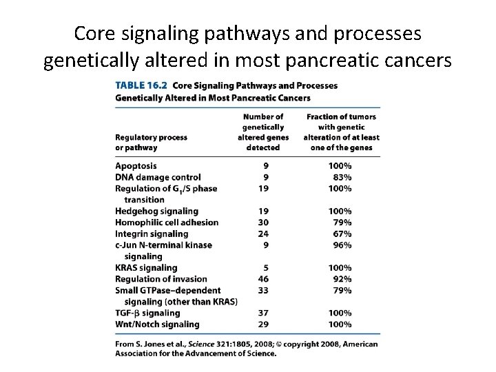 Core signaling pathways and processes genetically altered in most pancreatic cancers 