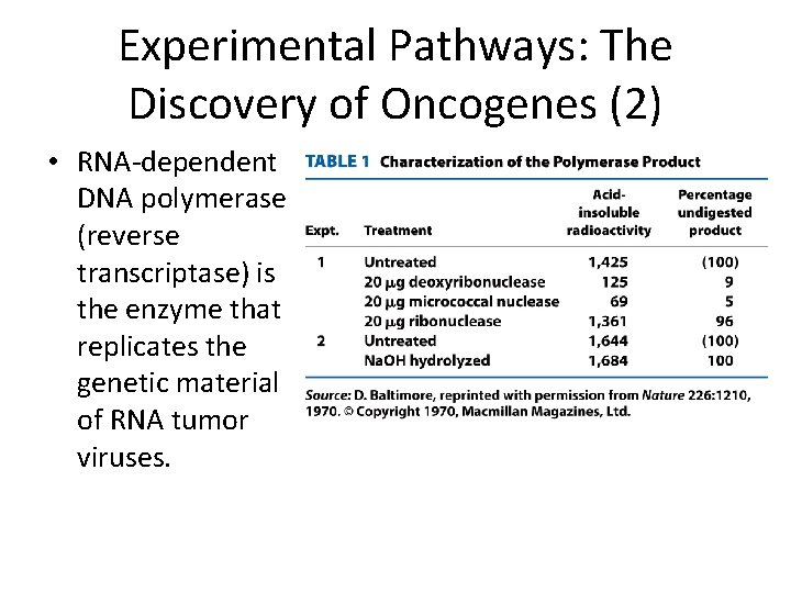 Experimental Pathways: The Discovery of Oncogenes (2) • RNA-dependent DNA polymerase (reverse transcriptase) is