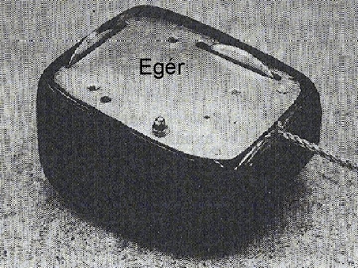 Egér 