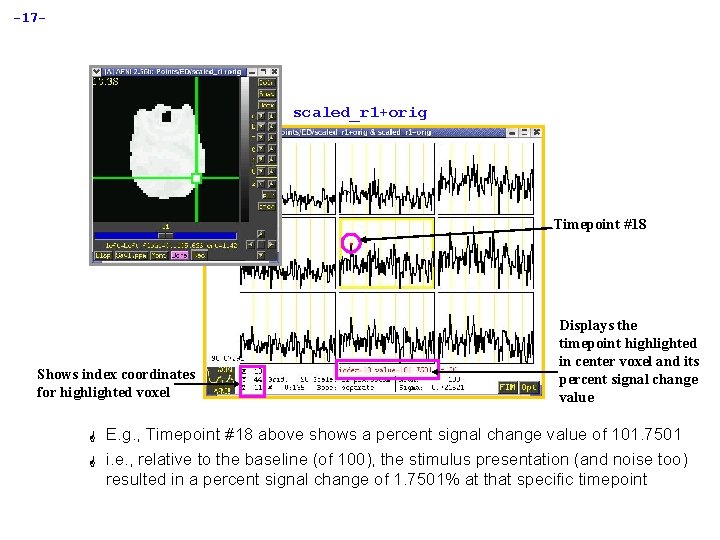 -17 - scaled_r 1+orig Timepoint #18 Shows index coordinates for highlighted voxel G G