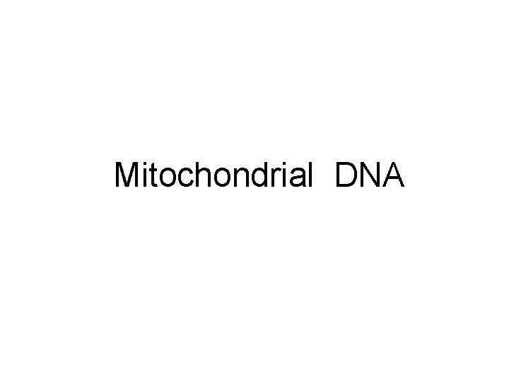 Mitochondrial DNA 