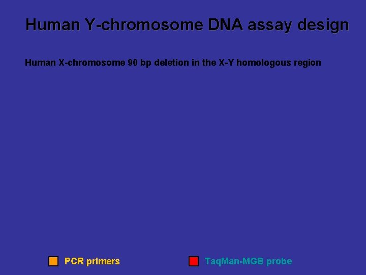 Human Y-chromosome DNA assay design Human X-chromosome 90 bp deletion in the X-Y homologous