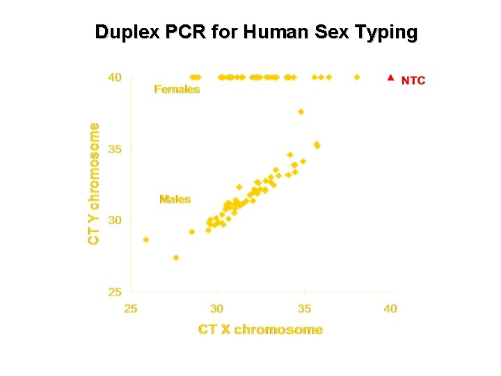 Duplex PCR for Human Sex Typing 