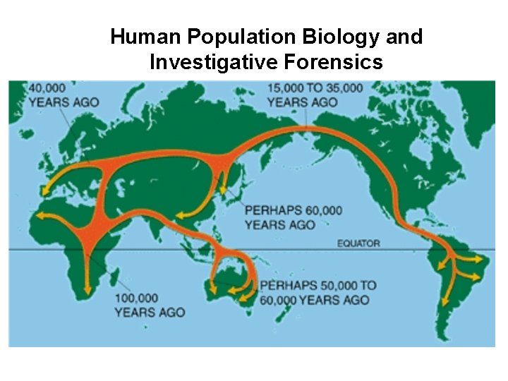 Human Population Biology and Investigative Forensics 1. Since the dispersal from Africa, mobile elements