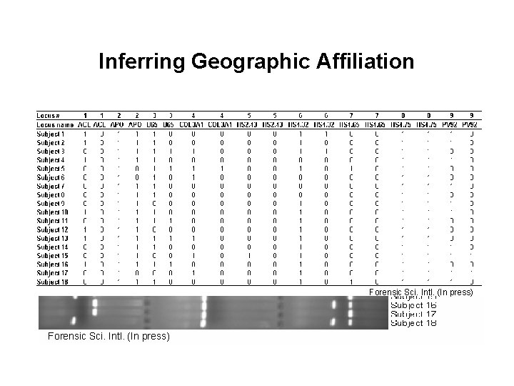 Inferring Geographic Affiliation 1) Series of genetic markers (100 Alu loci) 2) Database of