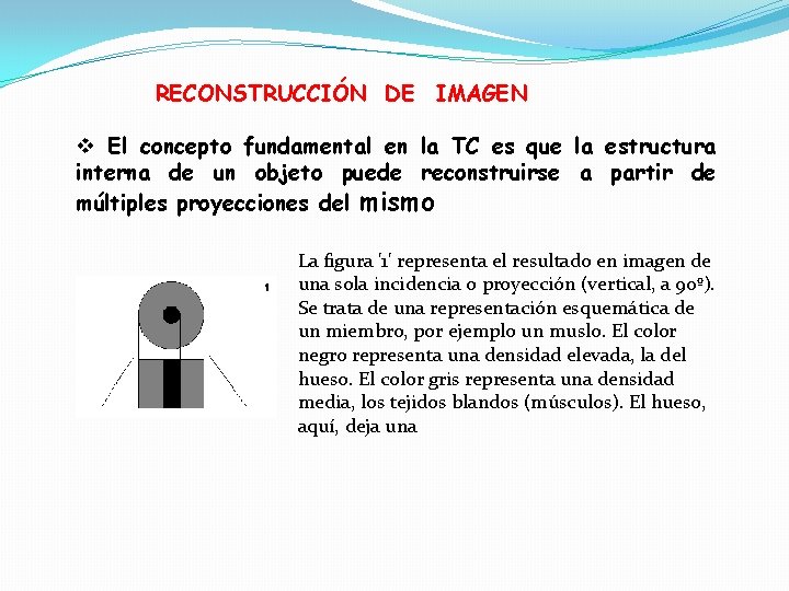 RECONSTRUCCIÓN DE IMAGEN v El concepto fundamental en la TC es que la estructura