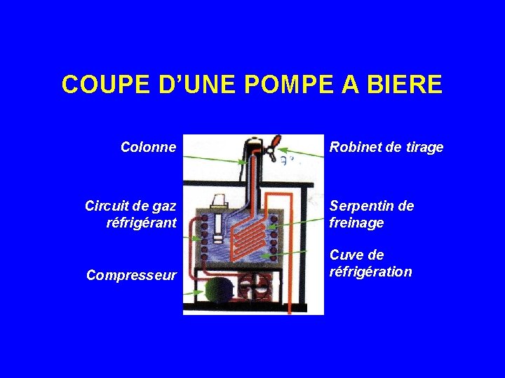 COUPE D’UNE POMPE A BIERE Colonne Robinet de tirage Circuit de gaz réfrigérant Serpentin