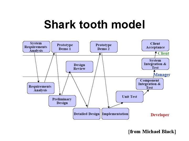 Shark tooth model [from Michael Black] 