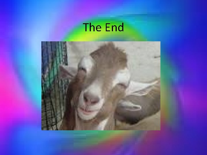 The End 