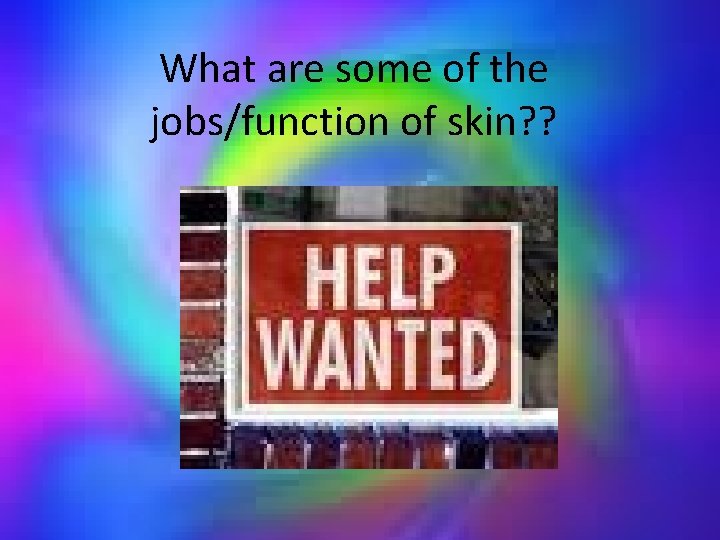 What are some of the jobs/function of skin? ? 