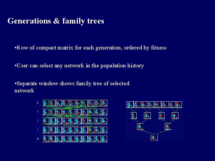 Generations & family trees • Row of compact matrix for each generation, ordered by