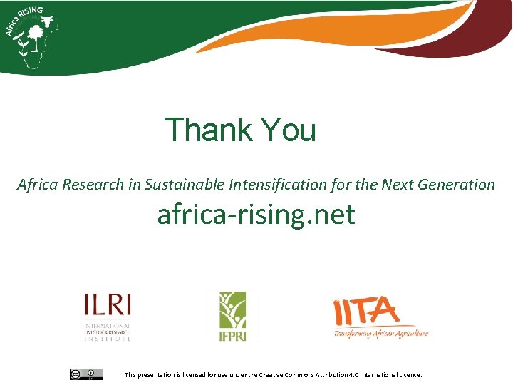 Thank You Africa Research in Sustainable Intensification for the Next Generation africa-rising. net This