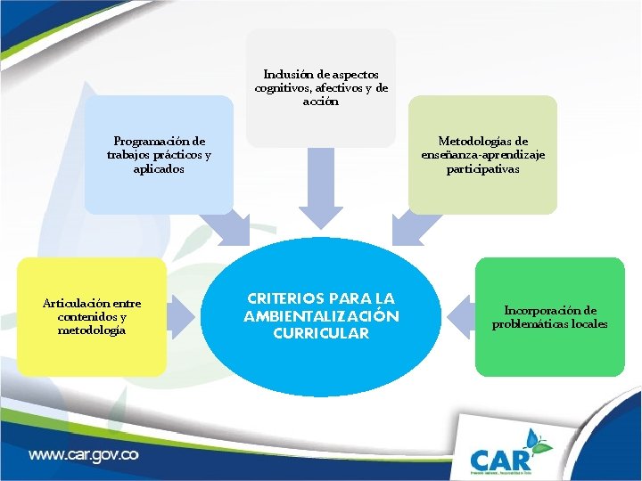 Inclusión de aspectos cognitivos, afectivos y de acción Programación de trabajos prácticos y aplicados