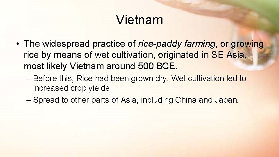 Vietnam • The widespread practice of rice-paddy farming, or growing rice by means of