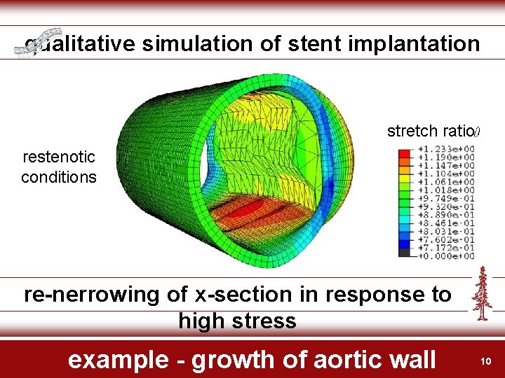 qualitative simulation of stent implantation stretch ratio restenotic conditions re-nerrowing of x-section in response