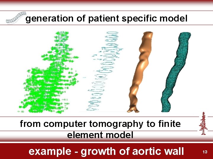 generation of patient specific model from computer tomography to finite element model example -
