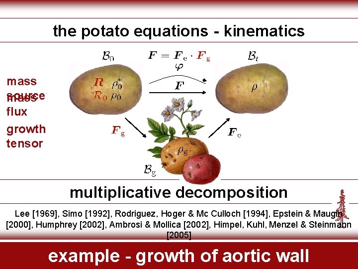 the potato equations - kinematics mass source mass flux growth tensor multiplicative decomposition Lee