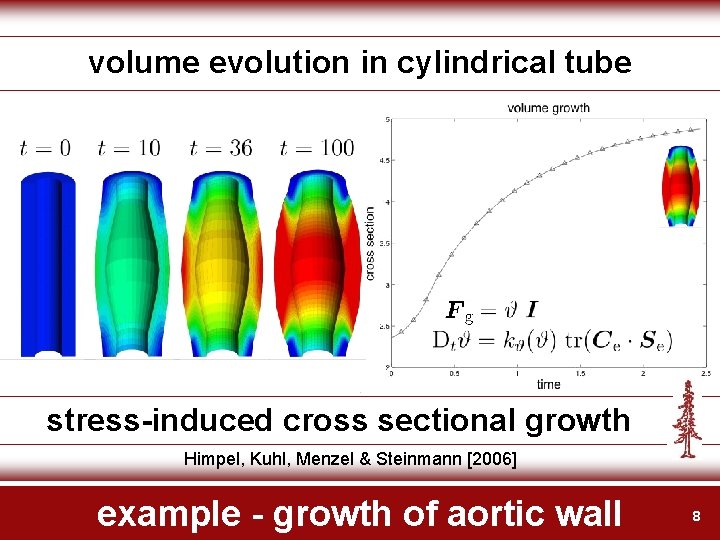 volume evolution in cylindrical tube stress-induced cross sectional growth Himpel, Kuhl, Menzel & Steinmann