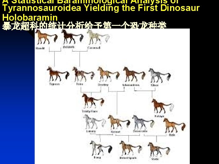 A Statistical Baraminological Analysis of Tyrannosauroidea Yielding the First Dinosaur Holobaramin 暴龙超科的统计分析给予第一个恐龙种类 