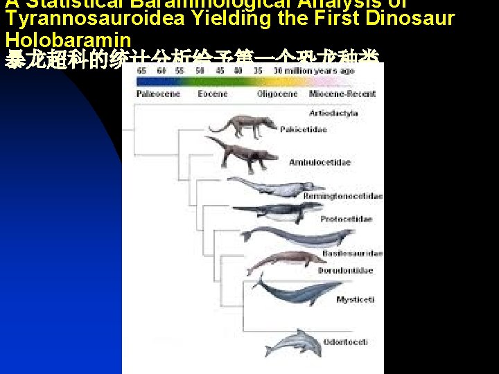 A Statistical Baraminological Analysis of Tyrannosauroidea Yielding the First Dinosaur Holobaramin 暴龙超科的统计分析给予第一个恐龙种类 