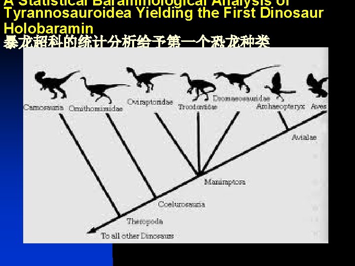 A Statistical Baraminological Analysis of Tyrannosauroidea Yielding the First Dinosaur Holobaramin 暴龙超科的统计分析给予第一个恐龙种类 