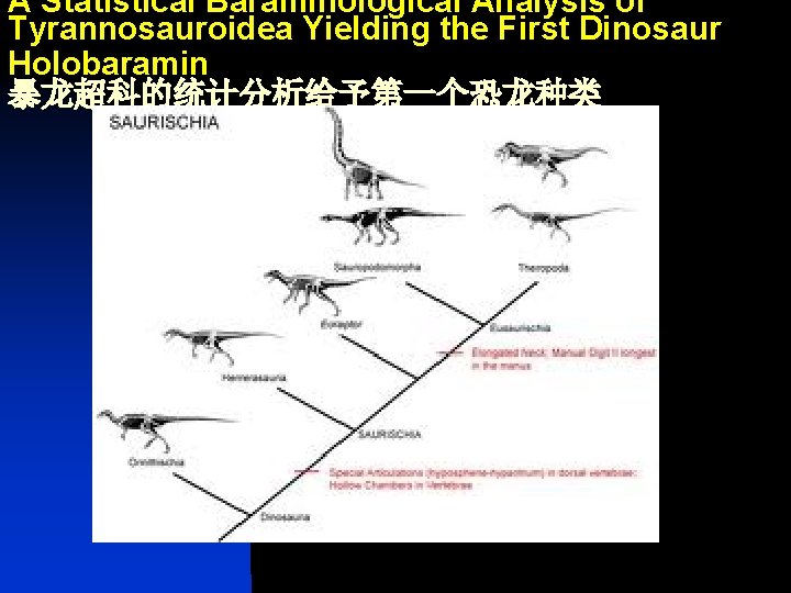 A Statistical Baraminological Analysis of Tyrannosauroidea Yielding the First Dinosaur Holobaramin 暴龙超科的统计分析给予第一个恐龙种类 