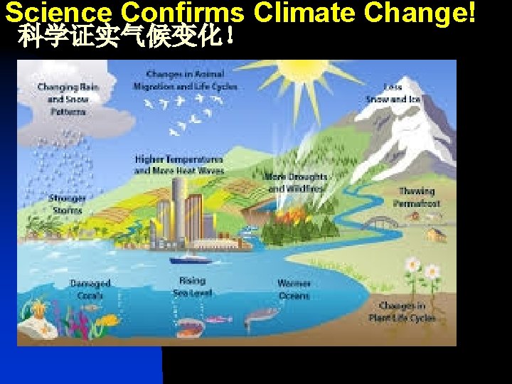 Science Confirms Climate Change! 科学证实气候变化！ 