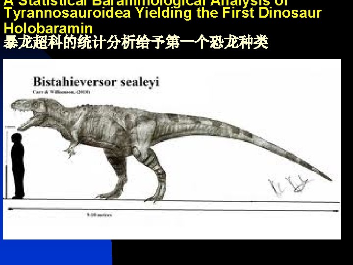 A Statistical Baraminological Analysis of Tyrannosauroidea Yielding the First Dinosaur Holobaramin 暴龙超科的统计分析给予第一个恐龙种类 