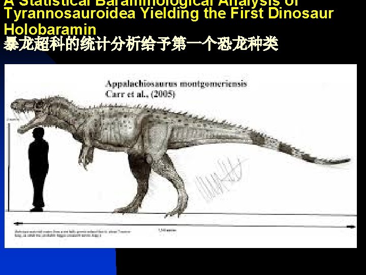 A Statistical Baraminological Analysis of Tyrannosauroidea Yielding the First Dinosaur Holobaramin 暴龙超科的统计分析给予第一个恐龙种类 