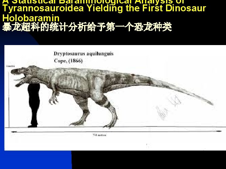 A Statistical Baraminological Analysis of Tyrannosauroidea Yielding the First Dinosaur Holobaramin 暴龙超科的统计分析给予第一个恐龙种类 