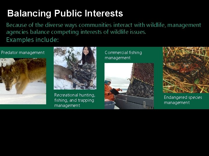 Balancing Public Interests Because of the diverse ways communities interact with wildlife, management agencies