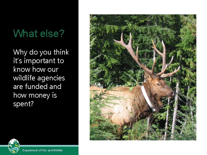 What else? Why do you think it’s important to know how our wildlife agencies