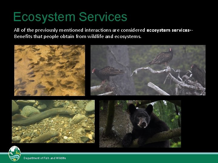 Ecosystem Services All of the previously mentioned interactions are considered ecosystem services-Benefits that people