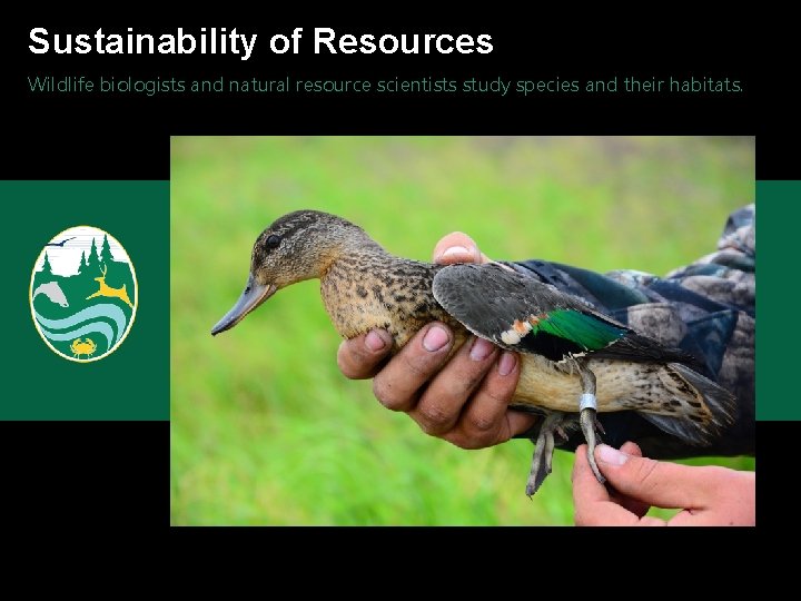 Sustainability of Resources Wildlife biologists and natural resource scientists study species and their habitats.