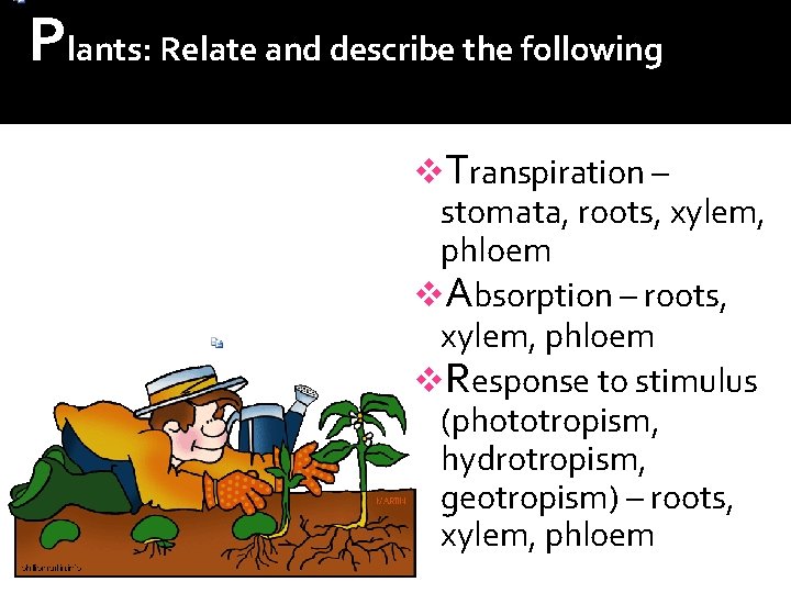 Plants: Relate and describe the following structures of living organisms to their functions v.