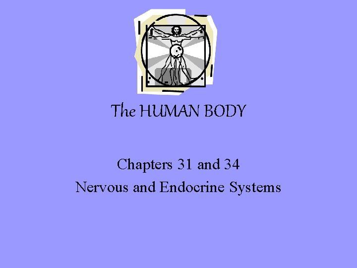 The HUMAN BODY Chapters 31 and 34 Nervous and Endocrine Systems 
