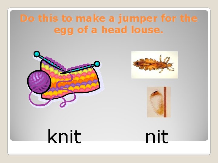 Do this to make a jumper for the egg of a head louse. knit