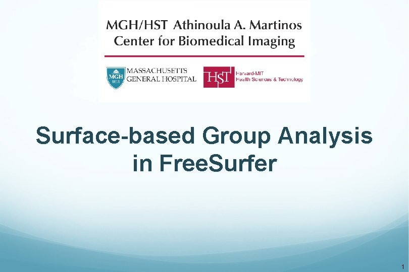 Surface-based Group Analysis in Free. Surfer 1 