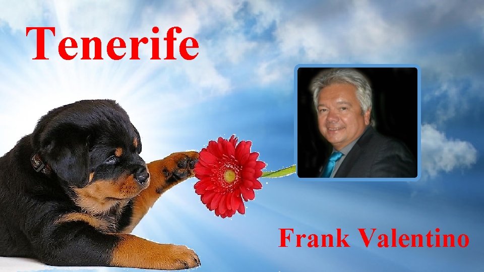 Tenerife Frank Valentino 