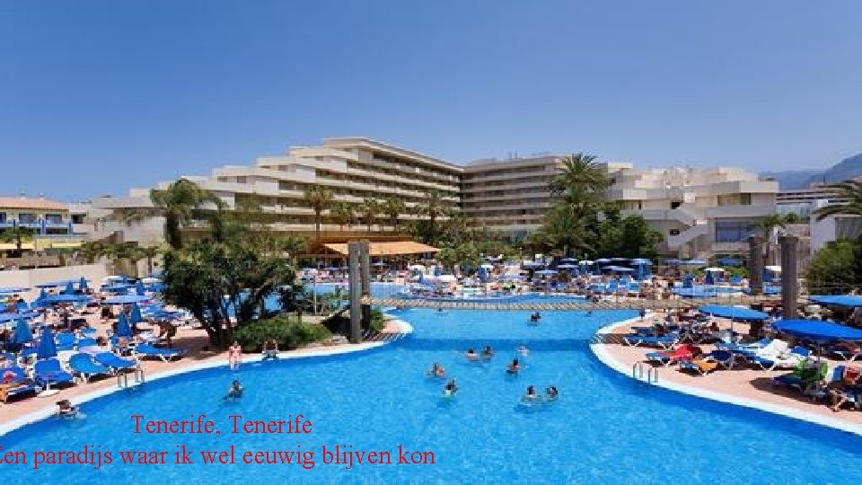 Tenerife, Tenerife Een paradijs waar ik wel eeuwig blijven kon 