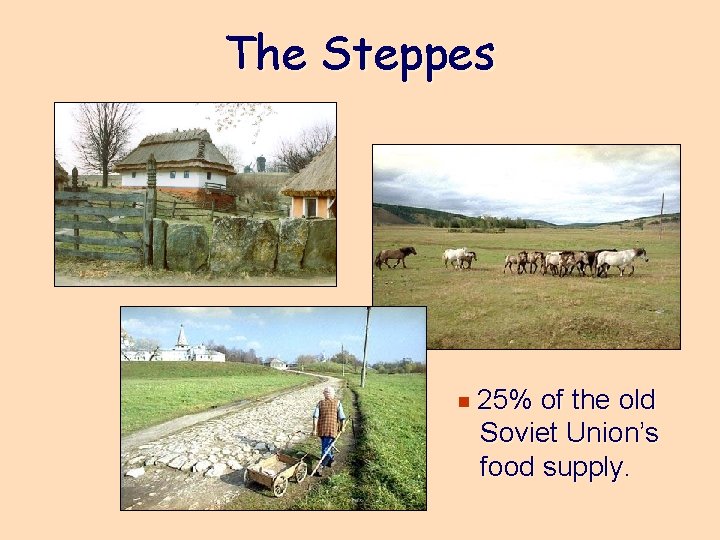 The Steppes e 25% of the old Soviet Union’s food supply. 
