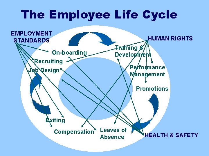 The Employee Life Cycle EMPLOYMENT STANDARDS HUMAN RIGHTS On-boarding Training & Development Recruiting Performance